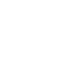 logo Body Shop