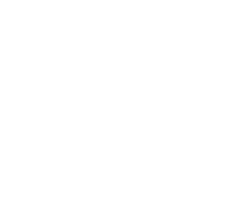 Lisa Angel logo