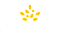 Morrisons Discount Codes logo