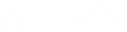 logo Accessorize