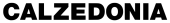 logo Calzedonia